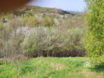 Działka Sprzedaż Lubenia