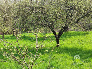 Działka Sprzedaż Lubenia