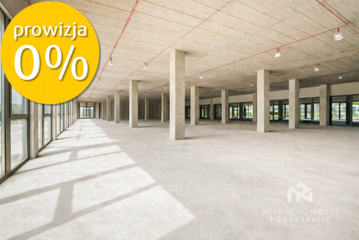 Lokal Wynajem Rzeszów Fryderyka Szopena 4