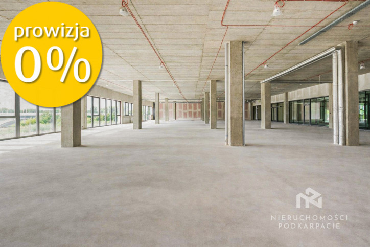Lokal Wynajem Rzeszów 3