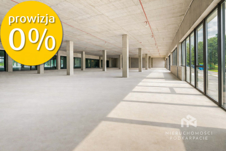 Lokal Wynajem Rzeszów 2