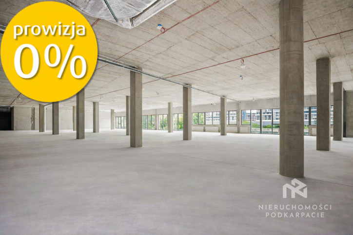 Lokal Wynajem Rzeszów 8