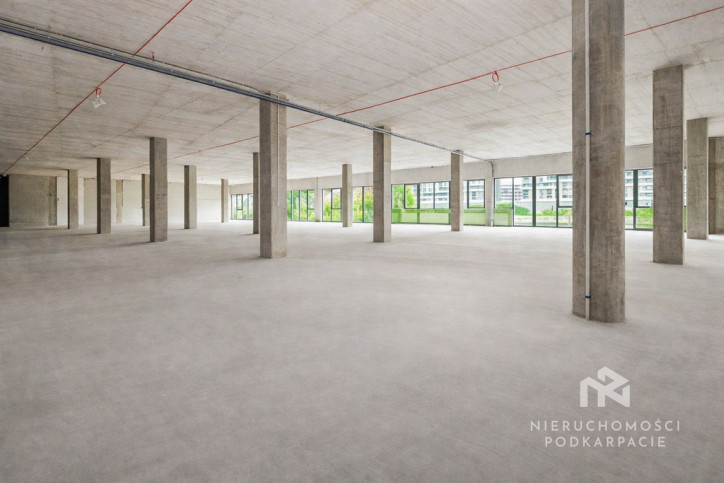 Lokal Wynajem Rzeszów Fryderyka Szopena 12