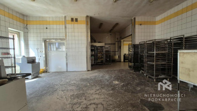 Lokal Wynajem Rzeszów al.&nbsp;Tadeusza Rejtana