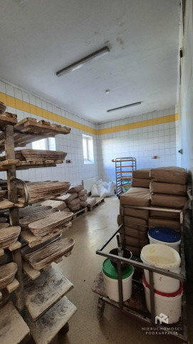 Lokal Wynajem Rzeszów al.&nbsp;Tadeusza Rejtana 17