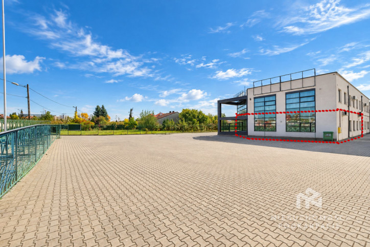 Lokal Wynajem Rzeszów Borowa 5