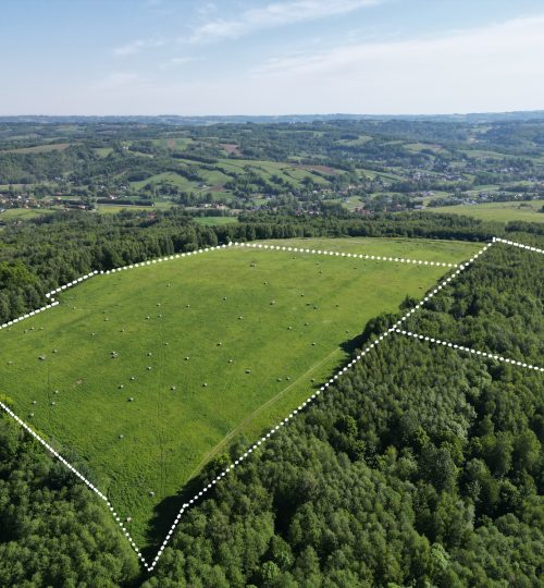 12,61 HA NIEOGRANICZONYCH  MOŻLIWOŚCI– zaledwie 20 km od Rzeszowa!