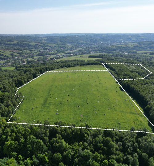 12,61 HA NIEOGRANICZONYCH  MOŻLIWOŚCI– zaledwie 20 km od Rzeszowa!
