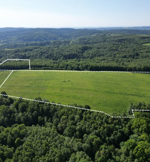 12,61 HA NIEOGRANICZONYCH  MOŻLIWOŚCI– zaledwie 20 km od Rzeszowa!